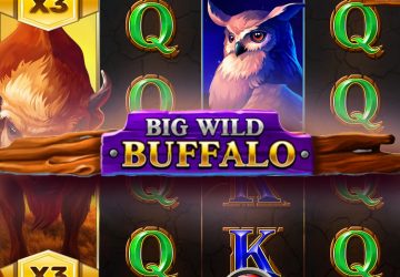 Автомат Big Wild Buffalo в Candy Casino